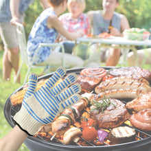 Load image into Gallery viewer, The Hot Handler - Oven/BBQ Glove