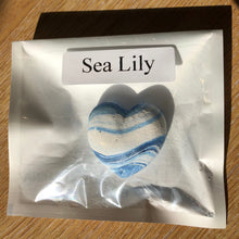 Load image into Gallery viewer, Sample of Scented Drawer Freshener