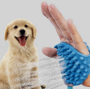 PETPAL - Cleaning Brush and Hose